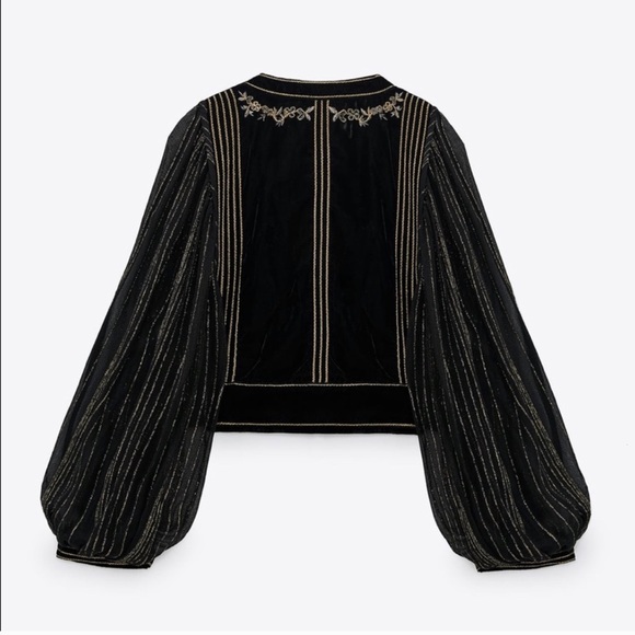 ZARA Embroidered Velvet Jacket - Picture 4 of 5